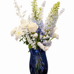 ChatGPT Image 9 янв. 2026 г., 06_48_15